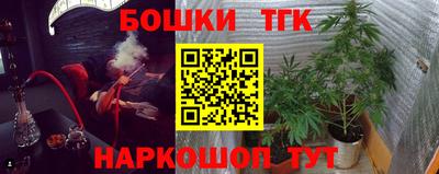 стаф Кинель