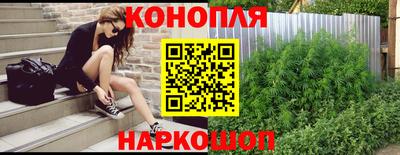 стаф Кинель
