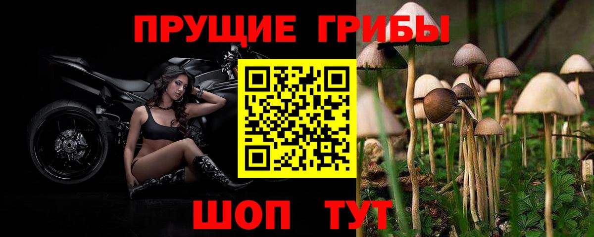 Псилоцибиновые грибы Magic Shrooms Валуйки